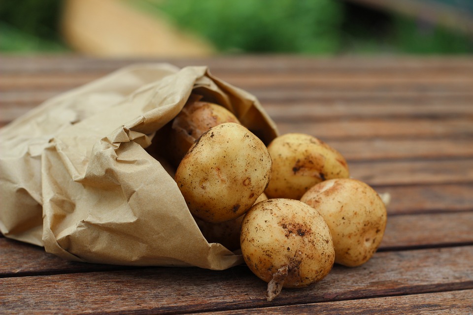 Alergia na ziemniaki – przyczyny i objawy