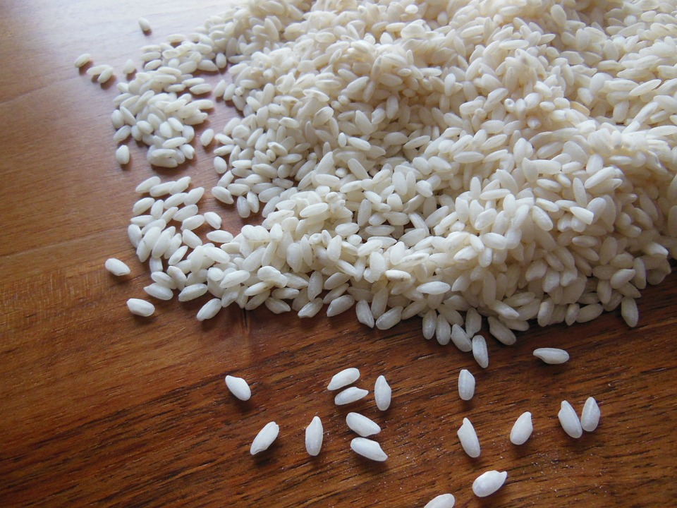Alergia na ryż